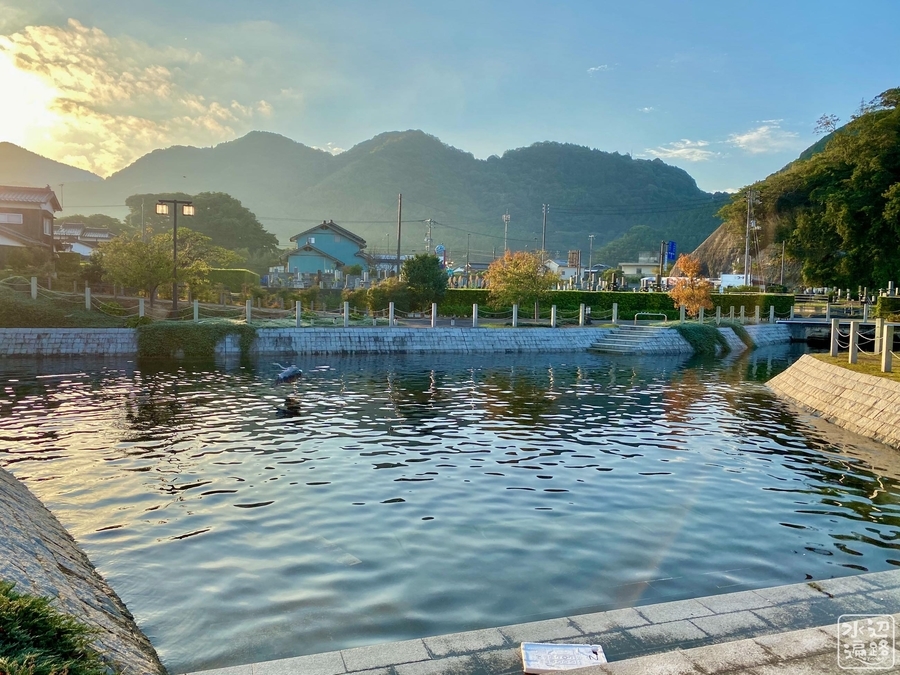 f:id:cippillo:20210928140553j:plain