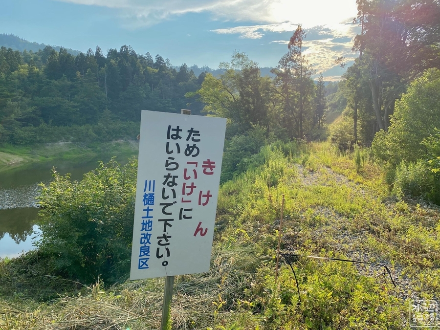 f:id:cippillo:20210930121037j:plain