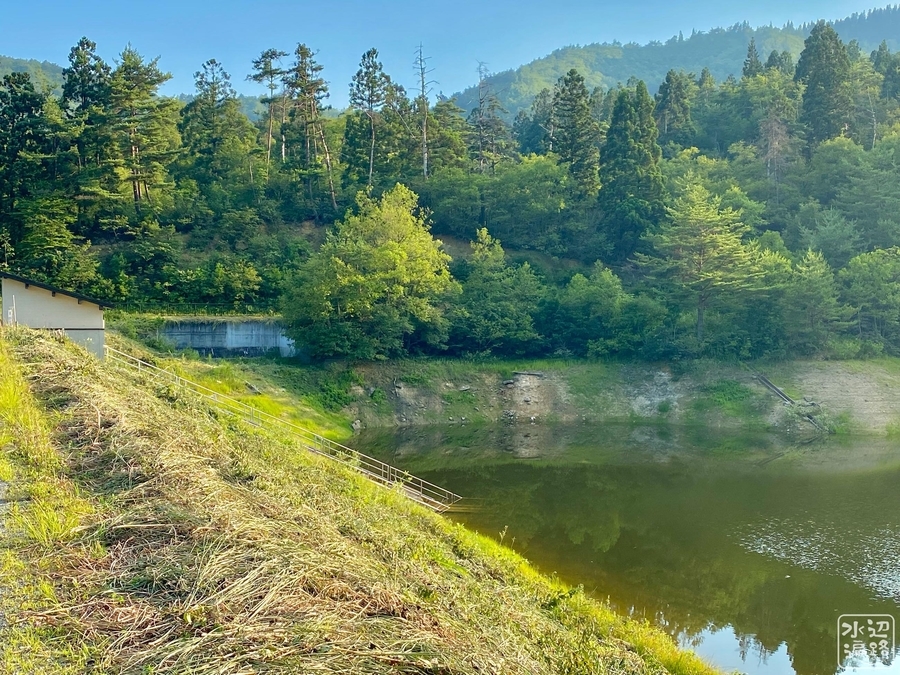 f:id:cippillo:20210930121044j:plain