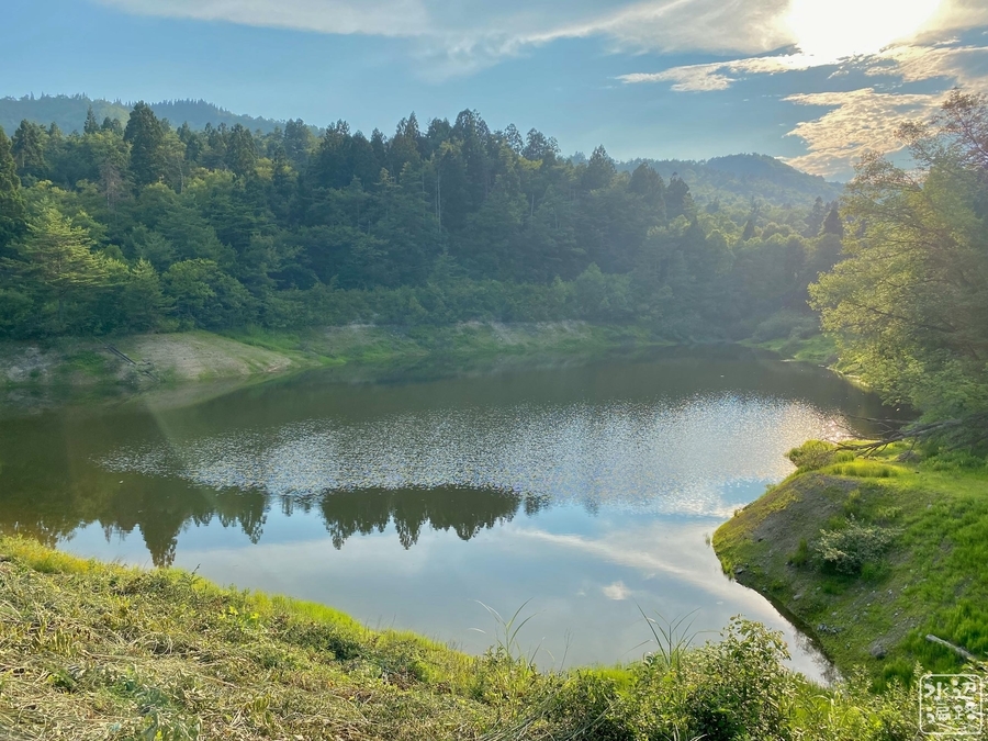 f:id:cippillo:20210930121051j:plain