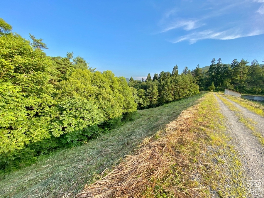 f:id:cippillo:20210930121058j:plain