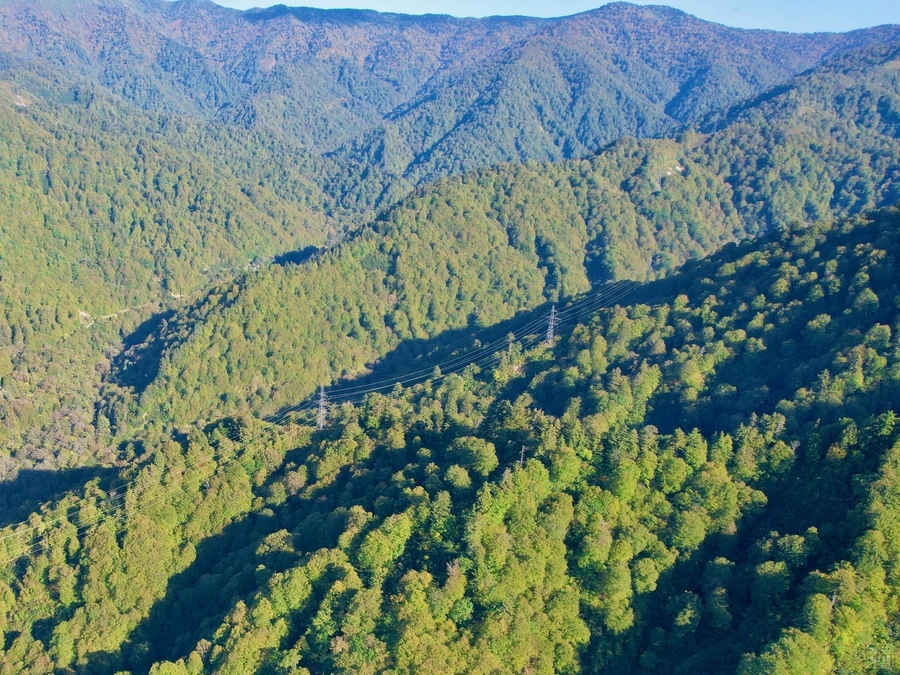 f:id:cippillo:20211009063919j:plain