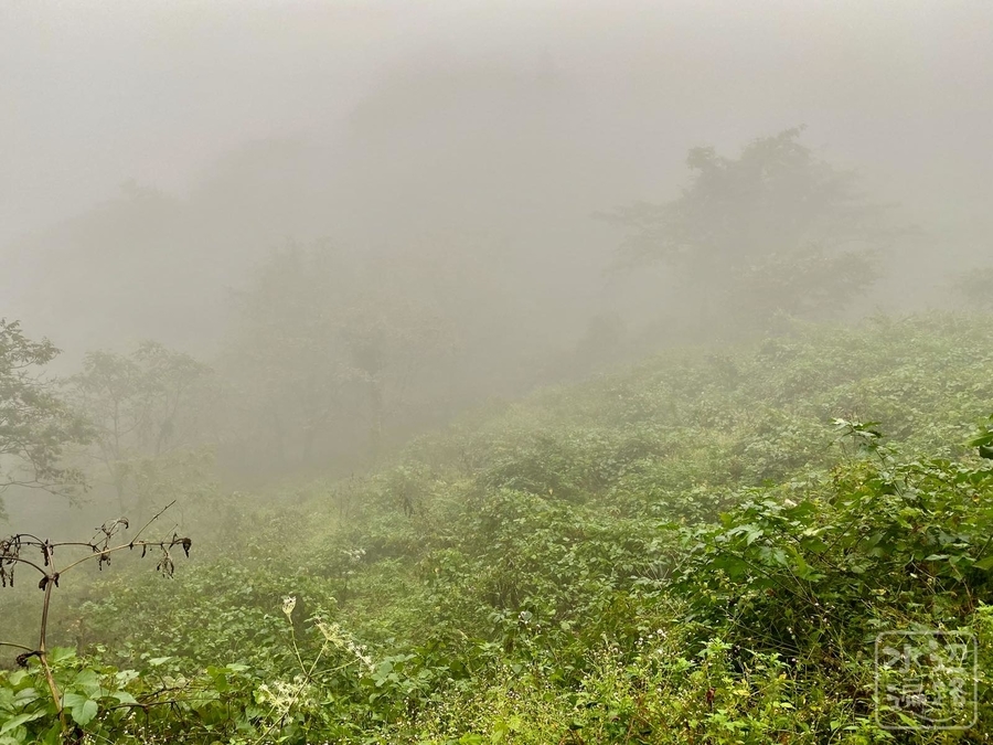 f:id:cippillo:20211013205016j:plain