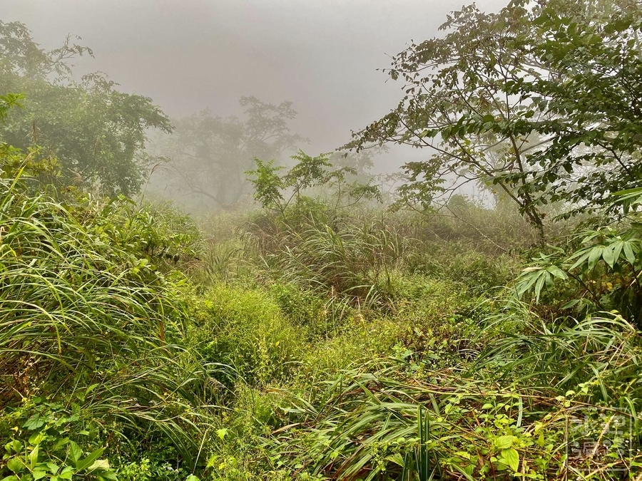 f:id:cippillo:20211013205021j:plain