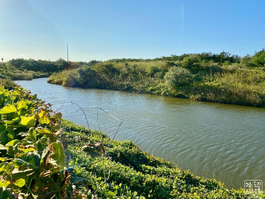 f:id:cippillo:20211018100723j:plain