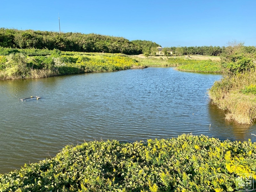 f:id:cippillo:20211018100728j:plain