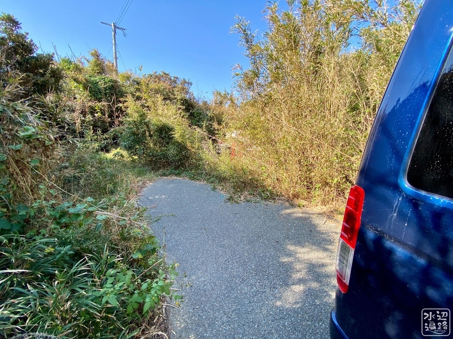 f:id:cippillo:20211018155151j:plain