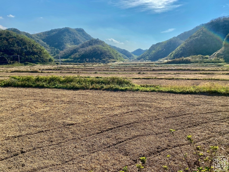 f:id:cippillo:20211018155159j:plain