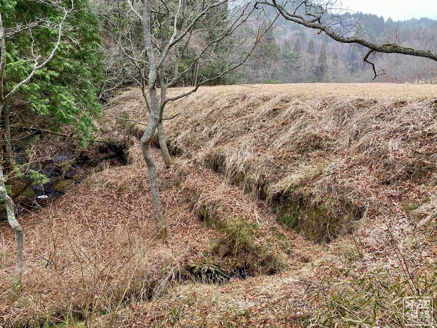 f:id:cippillo:20211019173642j:plain