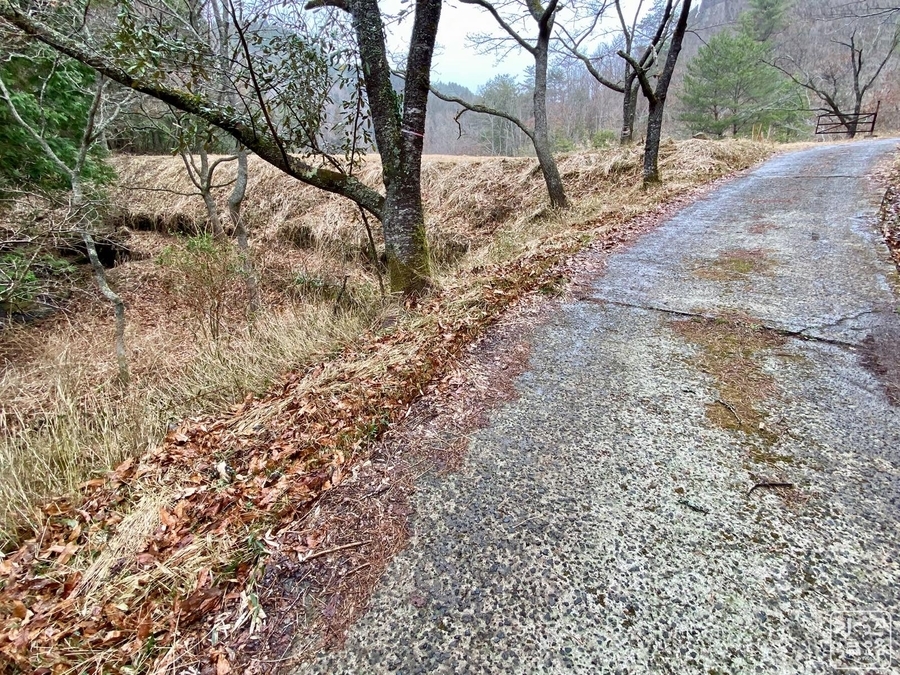 f:id:cippillo:20211019173648j:plain