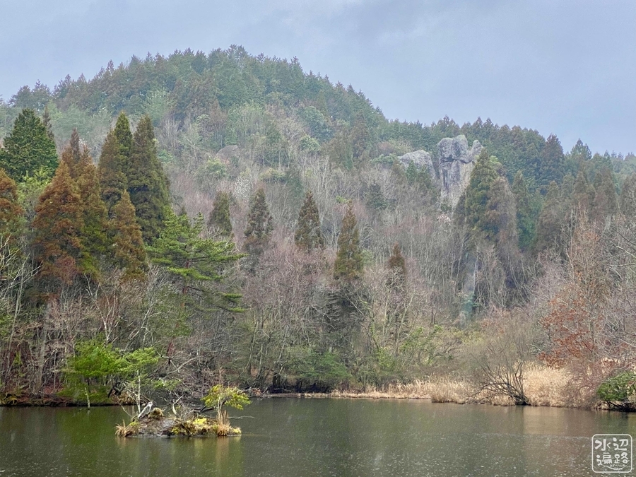 f:id:cippillo:20211019173715j:plain