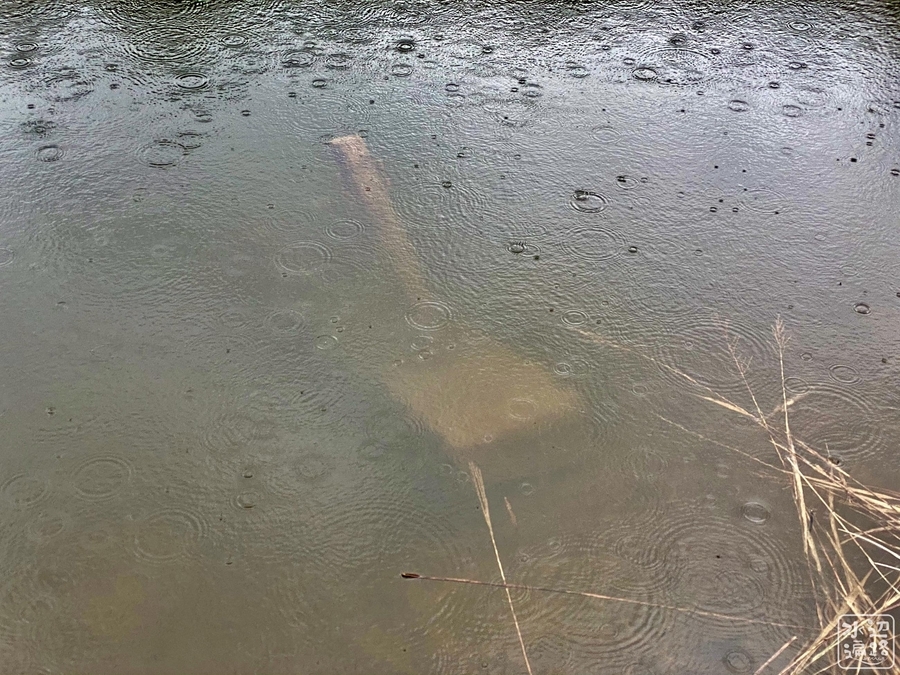 f:id:cippillo:20211019173722j:plain