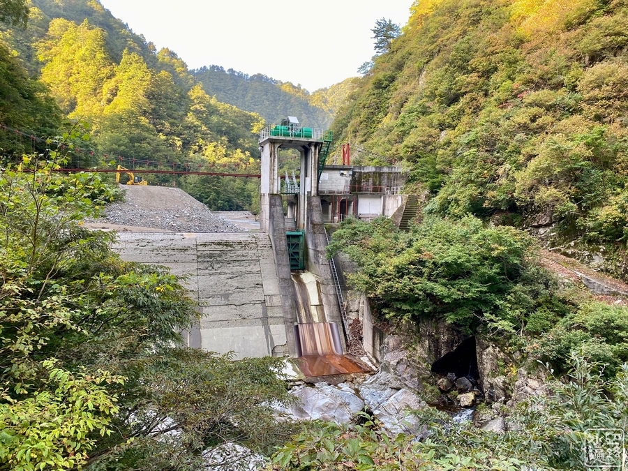 f:id:cippillo:20211023151104j:plain