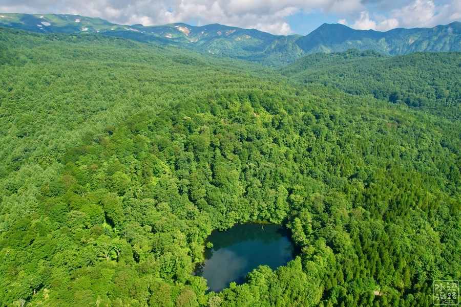 f:id:cippillo:20211026073411j:plain