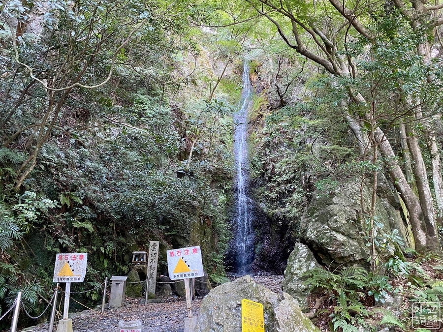 f:id:cippillo:20211029101743j:plain