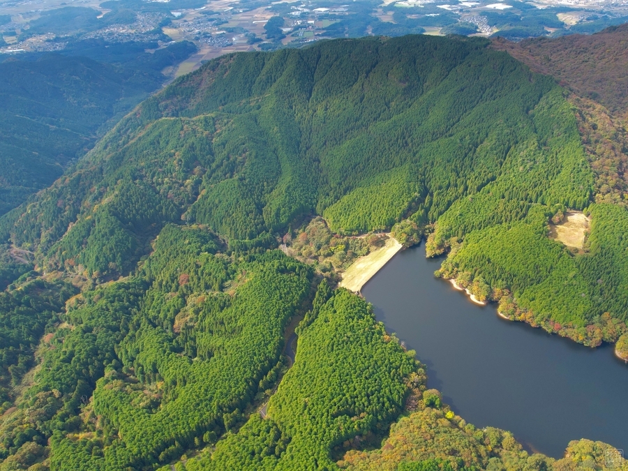 f:id:cippillo:20211103015440j:plain