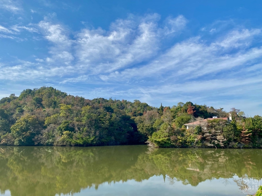 f:id:cippillo:20211108045635j:plain