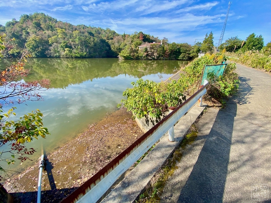 f:id:cippillo:20211108045647j:plain