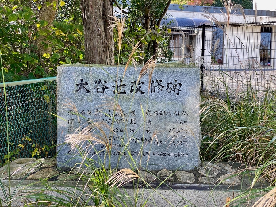 f:id:cippillo:20211108045654j:plain