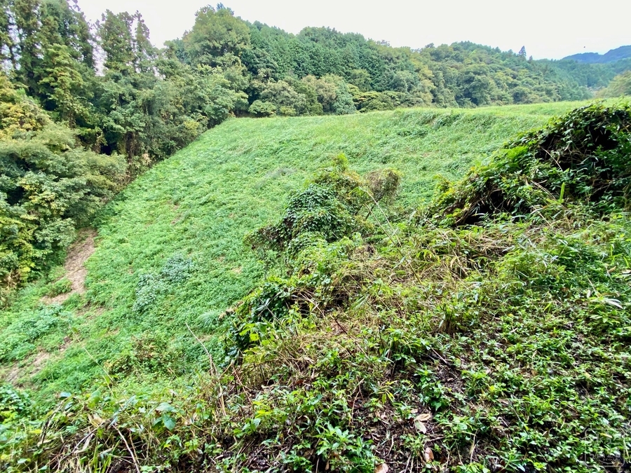 f:id:cippillo:20211111051237j:plain