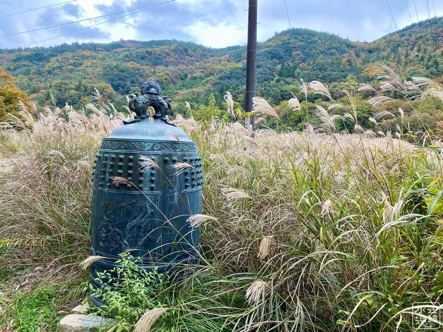 f:id:cippillo:20211125180934j:plain