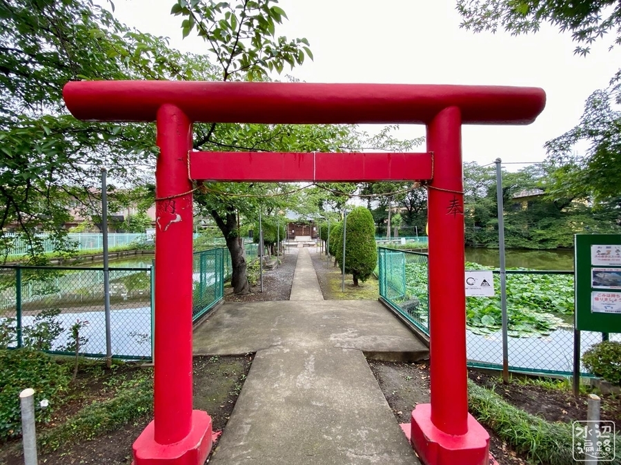 f:id:cippillo:20211207074350j:plain