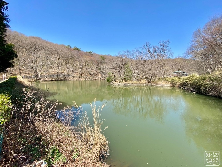 f:id:cippillo:20211216211822j:plain