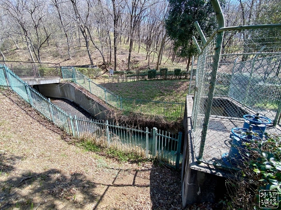 f:id:cippillo:20211216211833j:plain