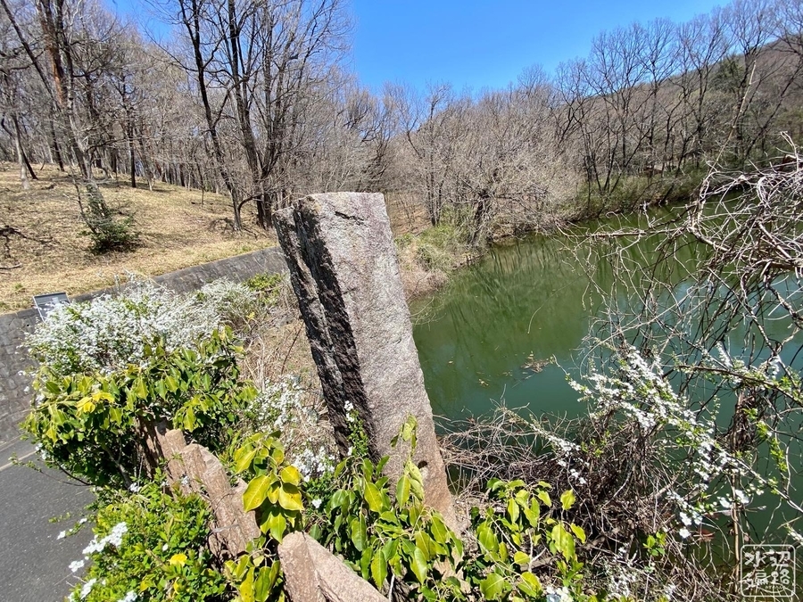 f:id:cippillo:20211216213420j:plain