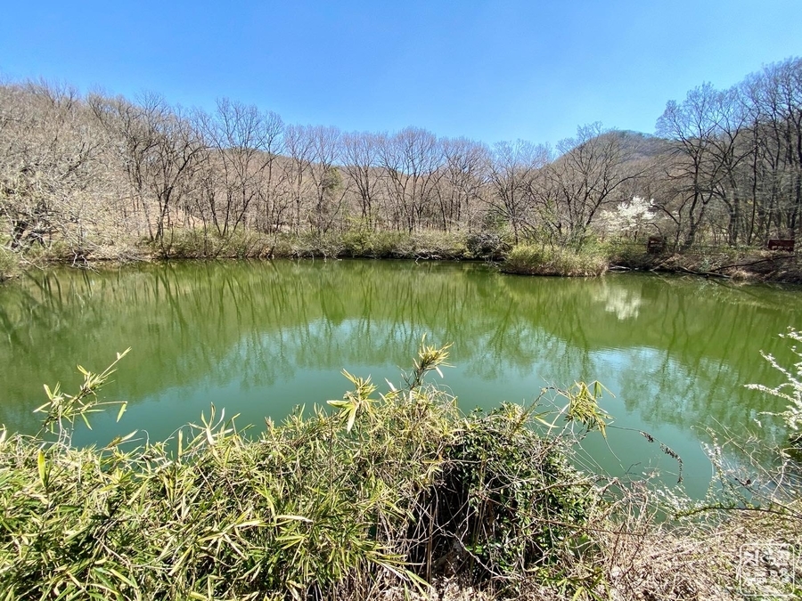 f:id:cippillo:20211216213437j:plain