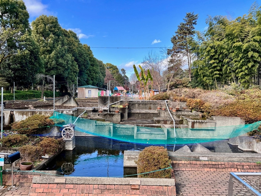 羽村市動物公園 西洋庭園の池 埼玉県羽村 水辺遍路