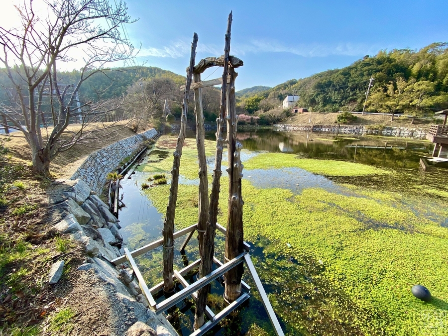 深坂池 愛媛県弓削島 水辺遍路