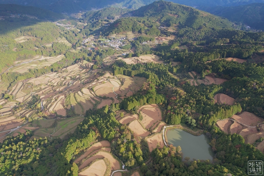 沢の池 高知県本山 水辺遍路