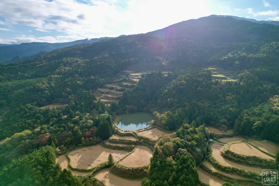沢の池 高知県本山 水辺遍路