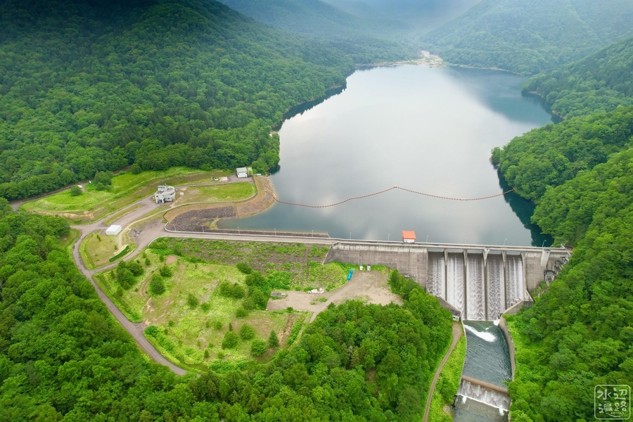 f:id:cippillo:20211223225631j:plain