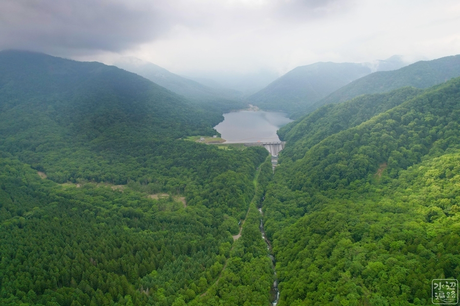 f:id:cippillo:20211223225644j:plain