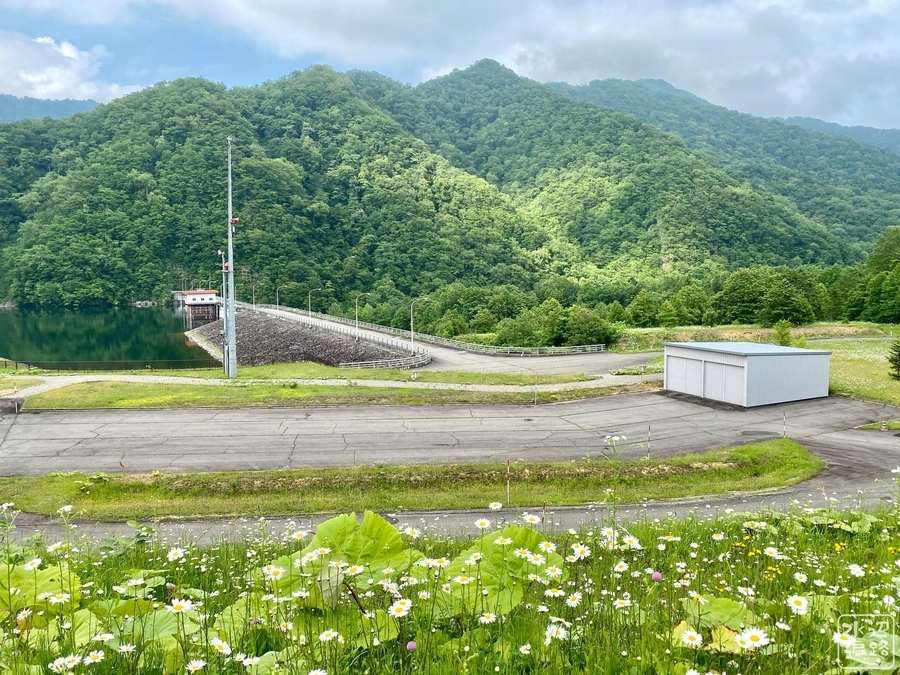 f:id:cippillo:20211223225720j:plain