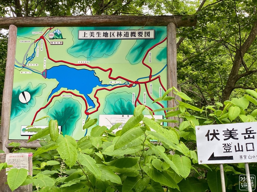 f:id:cippillo:20211223225734j:plain