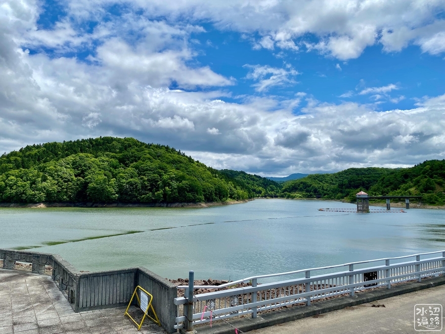 f:id:cippillo:20211229105651j:plain