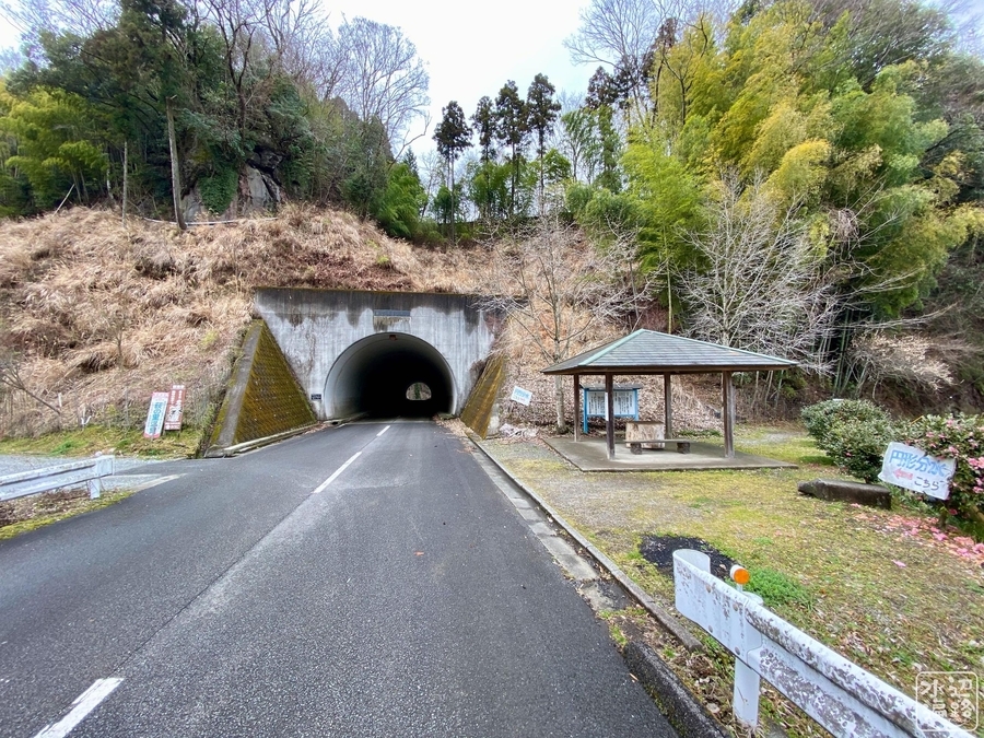 f:id:cippillo:20220101122557j:plain