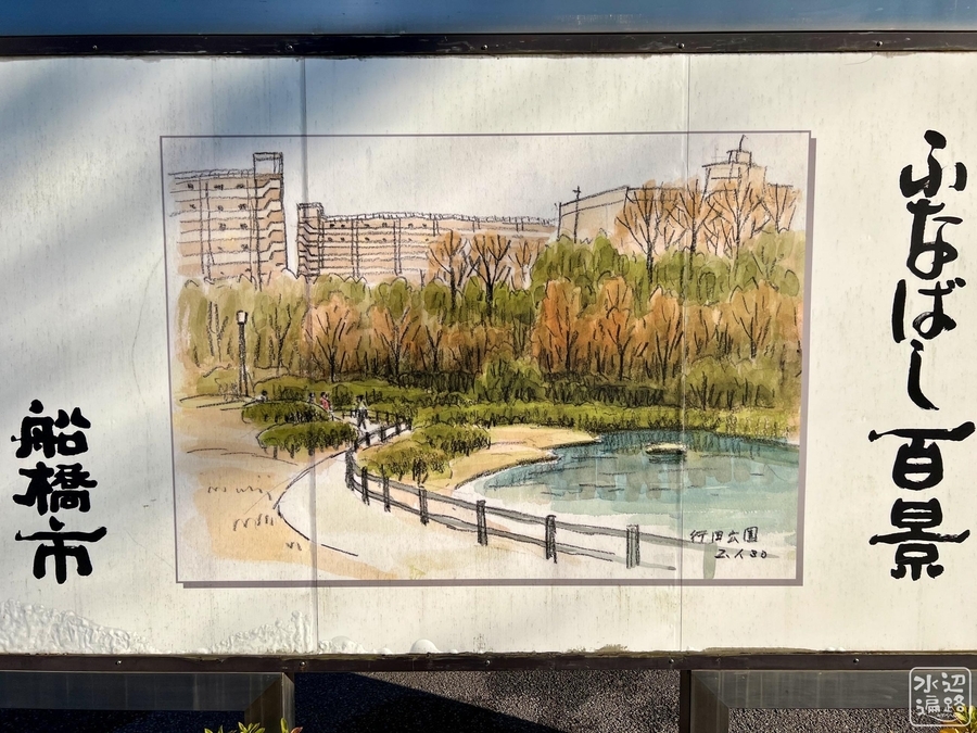 行田公園の池 千葉県船橋 水辺遍路