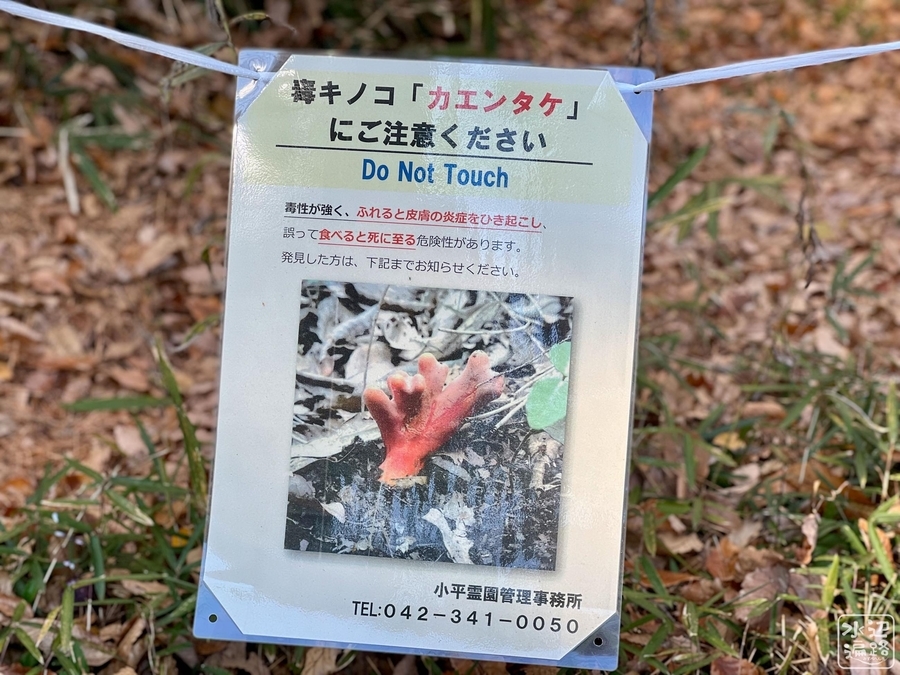 f:id:cippillo:20220103140029j:plain