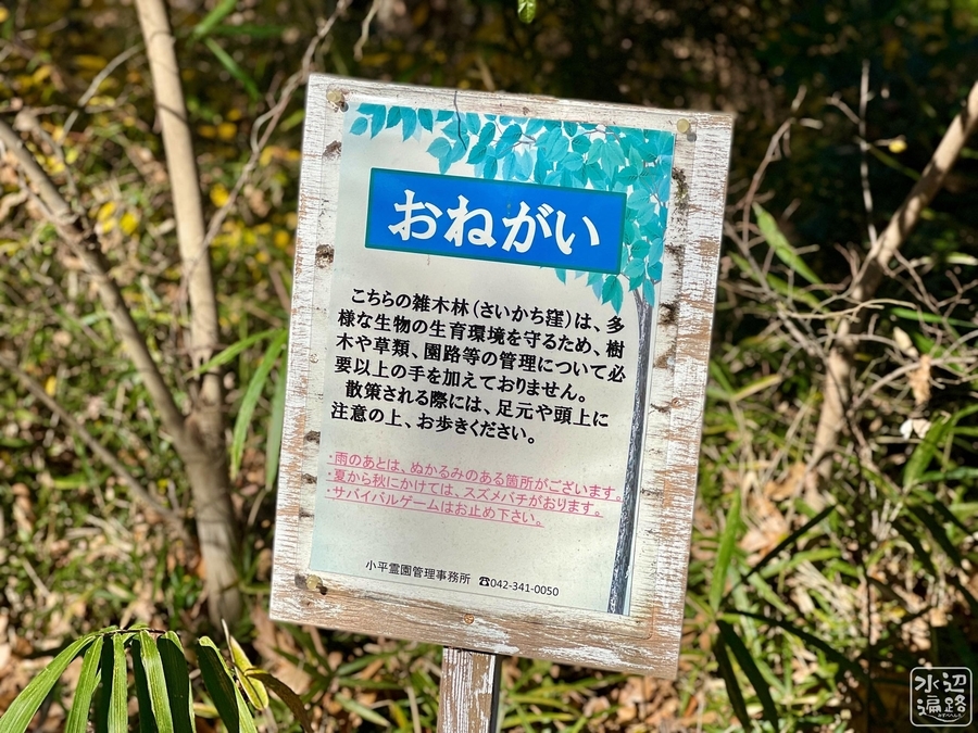 f:id:cippillo:20220103140036j:plain