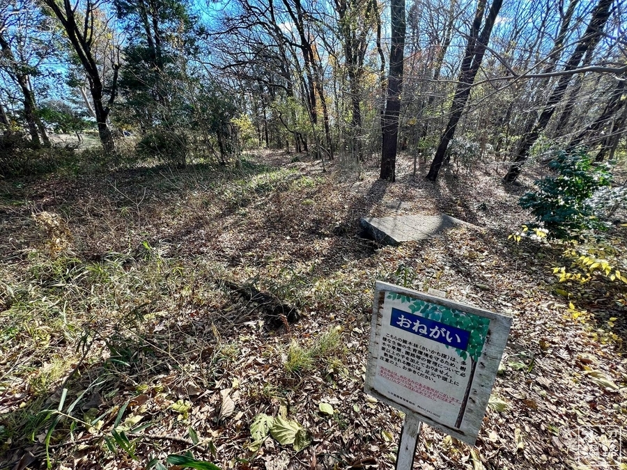 f:id:cippillo:20220103140541j:plain