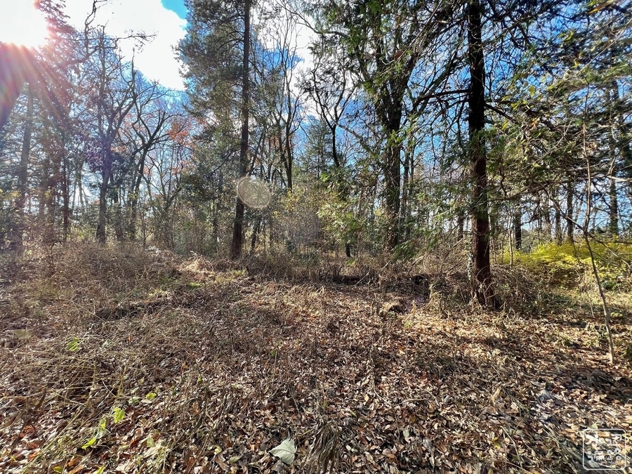 f:id:cippillo:20220103140548j:plain