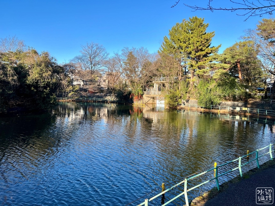 f:id:cippillo:20220104104554j:plain