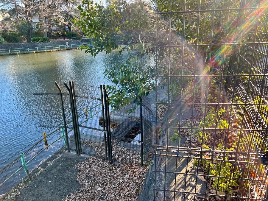 f:id:cippillo:20220104104636j:plain