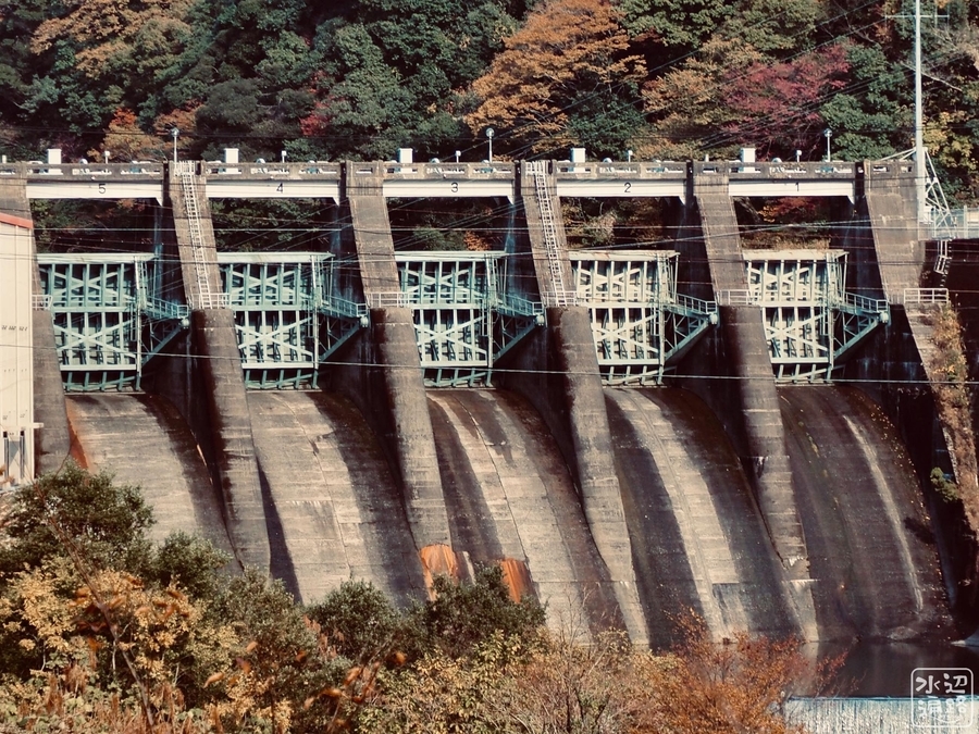 f:id:cippillo:20220106092344j:plain