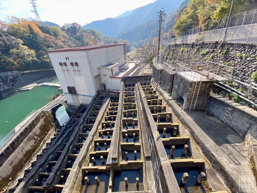 f:id:cippillo:20220106092407j:plain