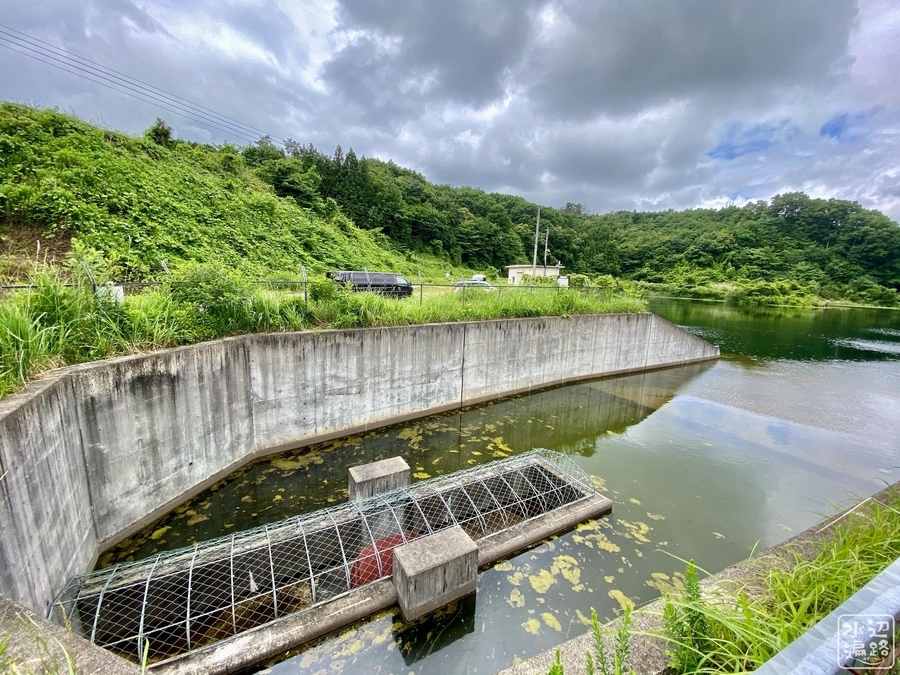 f:id:cippillo:20220107120950j:plain